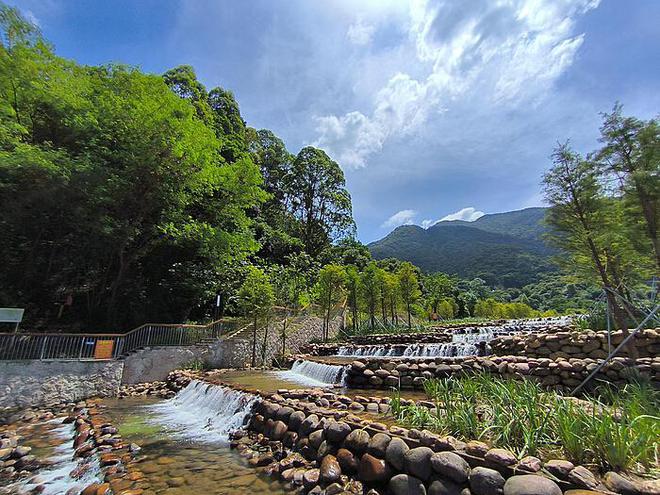 自助餐厅遭遇风波：两名女子大量自助打包近四百元海鲜肉类的调查报告